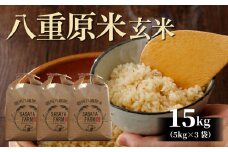 令和7年新米予約！八重原米15kg（5kg×3袋）玄米　※2025年10月以降順次発送｜笹屋農園「農薬削減長野県認証取得」