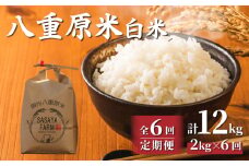 令和7年新米予約【6回定期便】八重原米2kg（2kg×1袋）白米　※2025年10月以降順次発送｜笹屋農園「農薬削減長野県認証取得」
