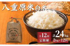 令和7年新米予約【12回定期便】八重原米2kg（2kg×1袋）白米　※2025年10月以降順次発送｜笹屋農園「農薬削減長野県認証取得」