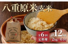 令和7年新米予約【6回定期便】八重原米2kg（2kg×1袋）玄米　※2025年10月以降順次発送｜笹屋農園「農薬削減長野県認証取得」
