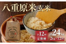 令和7年新米予約【12回定期便】八重原米2kg（2kg×1袋）玄米　※2025年10月以降順次発送｜笹屋農園「農薬削減長野県認証取得」