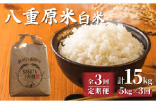 令和7年新米予約【3回定期便】八重原米5kg（5kg×1袋）白米　※2025年10月以降順次発送｜笹屋農園「農薬削減長野県認証取得」