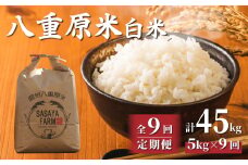 令和7年新米予約【9回定期便】八重原米5kg（5kg×1袋）白米 ※2025年10月以降順次発送｜笹屋農園「農薬削減長野県認証取得」