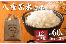 令和7年新米予約【12回定期便】八重原米5kg（5kg×1袋）白米　※2025年10月以降順次発送｜笹屋農園「農薬削減長野県認証取得」