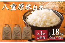 令和7年新米予約【3回定期便】八重原米6kg（2kg×3袋）白米 ※2025年10月以降順次発送｜笹屋農園「農薬削減長野県認証取得」