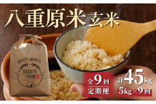 令和7年新米予約【9回定期便】八重原米5kg（5kg×1袋）玄米　※2025年10月以降順次発送｜笹屋農園「農薬削減長野県認証取得」