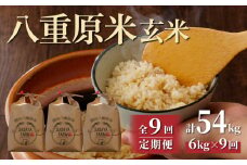 令和7年新米予約【9回定期便】八重原米6kg（2kg×3袋）玄米　※2025年10月以降順次発送｜笹屋農園「農薬削減長野県認証取得」