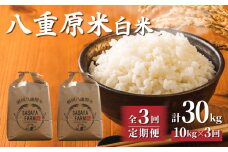 令和7年新米予約【3回定期便】八重原米10kg（5kg×2袋）白米　※2025年10月以降順次発送｜笹屋農園「農薬削減長野県認証取得」