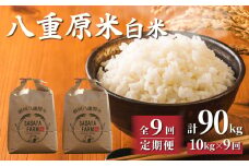令和7年新米予約【9回定期便】八重原米10kg（5kg×2袋）白米　※2025年10月以降順次発送｜笹屋農園「農薬削減長野県認証取得」