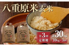 令和7年新米予約【3回定期便】八重原米10kg（5kg×2袋）玄米　※2025年10月以降順次発送｜笹屋農園「農薬削減長野県認証取得」