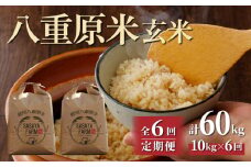令和7年新米予約【6回定期便】八重原米10kg（5kg×2袋）玄米　※2025年10月以降順次発送｜笹屋農園「農薬削減長野県認証取得」