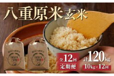 令和7年新米予約【12回定期便】八重原米10kg（5kg×2袋）玄米　※2025年10月以降順次発送｜笹屋農園「農薬削減長野県認証取得」