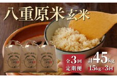 令和7年新米予約【3回定期便】八重原米15kg（5kg×3袋）玄米　※2025年10月以降順次発送｜笹屋農園「農薬削減長野県認証取得」