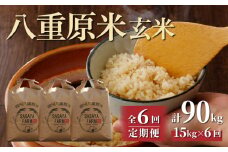 令和7年新米予約【6回定期便】八重原米15kg（5kg×3袋）玄米　※2025年10月以降順次発送｜笹屋農園「農薬削減長野県認証取得」