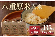 令和7年新米予約【9回定期便】八重原米15kg（5kg×3袋）玄米　※2025年10月以降順次発送｜笹屋農園「農薬削減長野県認証取得」