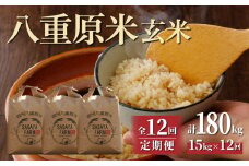 令和7年新米予約【12回定期便】八重原米15kg（5kg×3袋）玄米　※2025年10月以降順次発送｜笹屋農園「農薬削減長野県認証取得」