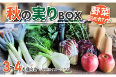 【sugaya farm】秋の実りBOX（３〜４人様向け）