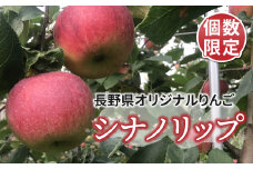 【ひかるの畑】個数限定！長野県オリジナルりんご「シナノリップ」約3kg