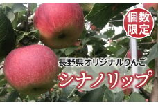 【ひかるの畑】個数限定！長野県オリジナルりんご「シナノリップ」約3kg