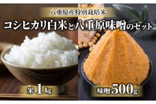 【令和6年産】八重原産コシヒカリ白米1kgと信州味噌「八重原味噌」500gのセット｜特別栽培米（減農薬・減化学肥料栽培） 大桂商店【太陽と大地】