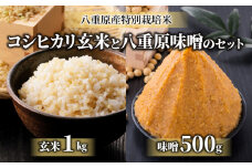 【令和6年産】八重原産コシヒカリ 玄米 1kgと信州味噌「八重原味噌」500gのセット｜特別栽培米（減農薬・減化学肥料栽培）【太陽と大地】