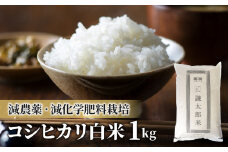 【令和6年産】八重原産コシヒカリ白米１kg 特別栽培米（減農薬・減化学肥料栽培）【太陽と大地】