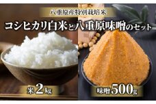 【令和6年産】八重原産コシヒカリ（白米）2kgと信州味噌「八重原味噌」500gのセット｜特別栽培米（減農薬・減化学肥料栽培） 大桂商店【太陽と大地】