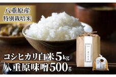 【令和6年産】八重原産コシヒカリ 白米 5kgと信州味噌「八重原味噌」500ｇのセット ｜特別栽培米（減農薬・減化学肥料栽培） 大桂商店 お米 【太陽と大地】