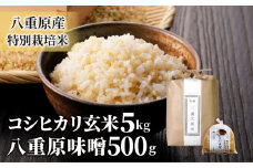 【令和6年産】八重原産コシヒカリ 玄米 5kgと 大桂商店 信州味噌「八重原味噌」500gのセット｜特別栽培米（減農薬・減化学肥料栽培）【太陽と大地】
