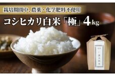 【令和6年産】八重原産コシヒカリ白米「極」4kg｜栽培期間中農薬化学肥料不使用【太陽と大地】
