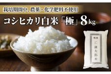 【令和6年産】八重原産コシヒカリ白米「極」8kg（栽培期間中農薬化学肥料不使用）【太陽と大地】