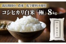 【令和7年産】八重原産コシヒカリ白米「極」8kg（栽培期間中農薬化学肥料不使用）【太陽と大地】※2025年10月中旬以降発送