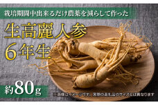 【先行予約2024年発送】栽培期間中出来るだけ農薬を減らして作った生高麗人参 6年生 約80ｇ（2024年9月〜10月頃お届け予定）