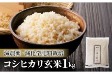 【令和6年産】八重原産特別栽培米（減農薬・減化学肥料栽培）コシヒカリ玄米1kg｜お米 【太陽と大地】