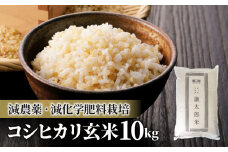 【令和6年産】八重原産コシヒカリ 玄米 10kg｜特別栽培米（減農薬・減化学肥料栽培）【太陽と大地】