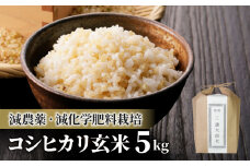 【令和6年産】八重原産 コシヒカリ 玄米 5kg｜特別栽培米（減農薬・減化学肥料栽培）【太陽と大地】