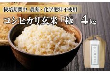 【令和6年産】八重原産コシヒカリ玄米「極」（栽培期間中農薬化学肥料不使用）4kg【太陽と大地】