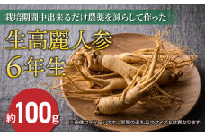 【先行予約2024年発送】栽培期間中出来るだけ農薬を減らして作った生高麗人参 6年生 約100ｇ（2024年9月〜10月お届け予定）