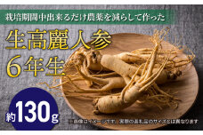 【先行予約2024年発送】栽培期間中出来るだけ農薬を減らして作った生高麗人参 6年生 約130ｇ（※2024年9月〜10月頃お届け予定）
