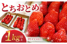 【BERRY PLANTS FACTORY】東御市産とちおとめ１kg以上