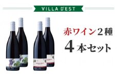 【ヴィラデストワイナリー】赤ワイン2種 4本セット（ピノ・ノワール & メルロー）