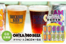 【6回定期便】オラホビール3種飲み比べ10本セット