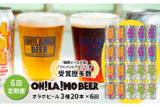 【6回定期便】オラホビール3種飲み比べ20本セット