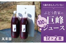 【萬果園】巨峰ジュース100％　1L　2本セット