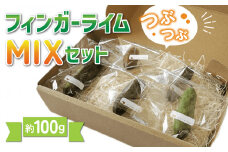 東御市産！フィンガーライム　約100ｇ