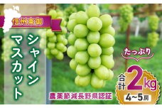 先行予約2024年発送【東御こもだ果樹園】シャインマスカット2㎏（4〜5房）農薬節減長野県認証／贈答用化粧箱入り（秋お届け） | 長野県 長野 東御市 人気 ぶどう 贈答用 フルーツ 果物 おすすめ 厳選 種無し 皮ごと 大粒 減農薬 2kg 4房 5房 ギフト プレゼント