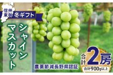 【先行受付2025年発送】冬ギフト・シャインマスカット２房 贈答化粧箱入（合計900g以上）農薬節減長野県認証 ｜東御こもだ果樹園　※2025年12月1日～12月25日に発送予定
