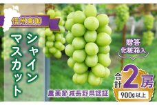 【先行受付2025年発送】シャインマスカット2房 贈答化粧箱入（計900g以上）農薬節減長野県認証｜東御こもだ果樹園　※2025年9月下旬~10月下旬に発送予定
