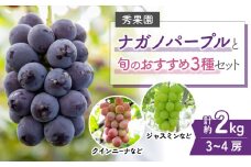 【先行受付2025年発送】ナガノパープルと旬のおすすめ3種セット（合計3~4房、約2kg）｜秀果園　※2025年9月下旬以降発送予定