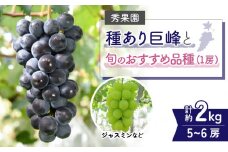 【先行受付2025年発送】種あり巨峰と旬のおすすめ品種（１房） 計5~6房 （約2kg）｜秀果園　※2025年9月~10月順次発送